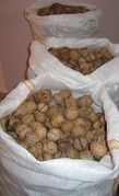 In-shell Walnut from 루마니아 supplied by S.C. MARANDI TRADING & MARKETING SRL - Whole 생호두