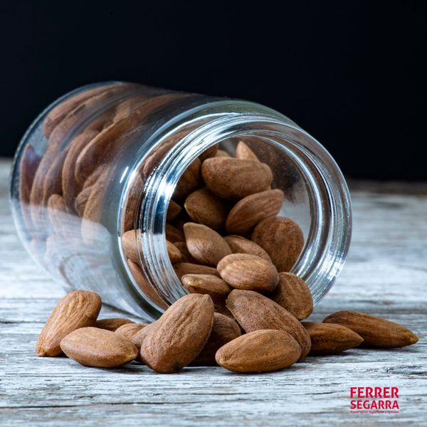Almond from Spain supplied by Ferrer Segarra - Brown Almond Kernel