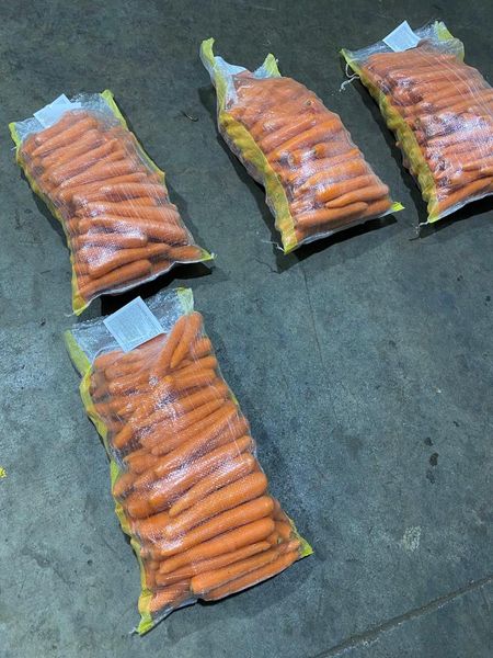 Fresh Carrots from Egypt supplied by Agro Food - Fine Quality Fresh Carrot