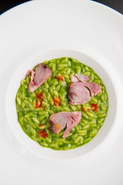 Seeds of Annurca di Gragnano from Italy supplied by PASTIFICIO DEI CAMPI SPA - Annurca seeds Uncooked Pasta