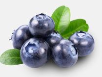 Blueberries from 콜롬비아 supplied by CI FRUCOL SA - 냉동 냉동 블루베리