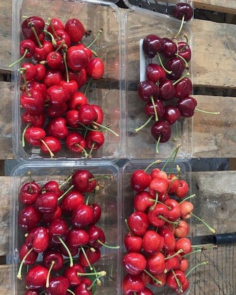 Cherries from Chile supplied by Exportadora Best Berry Chile SA - Plastic Punnets (=Clamshells) Fresh Sweet Cherry