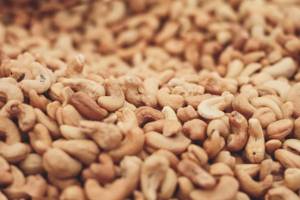 Cashew Nuts from Ivory Coast supplied by AFRECO - Raw Cashew Nut Kernel