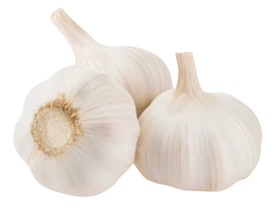 Garlic from 네덜란드 supplied by Verdi - Whole 신선 마늘