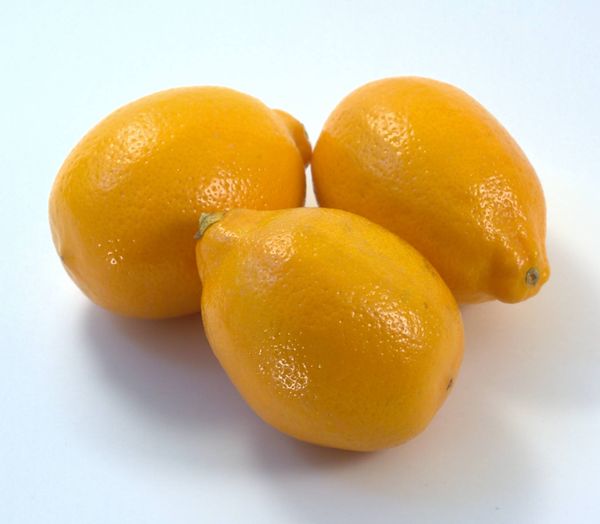 Fresh Lemon from 미국 supplied by Aloha Produce of Central Oregon Inc - Yellow 신선 레몬