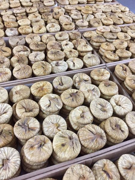Dried Fig from Turkiye supplied by ISIK Dried Figs - Protoben Dried Fig