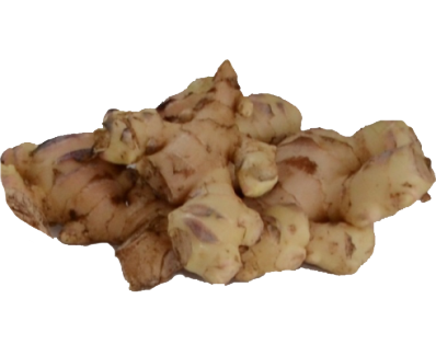 Ginger from Costa Rica supplied by Raíces y Tubérculos Huetar Norte S.A. - Whole Ginger