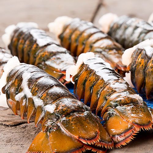 Frozen Raw Tails from United States supplied by East Coast Seafood, LLC - Tails Only Frozen Common Lobster