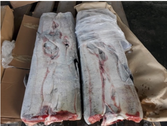 Chum Salmon from Russia supplied by LLC RPK Northern - Whole (=In The Round) Salmon
