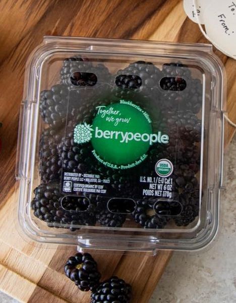 Fresh Blackberry from 미국 supplied by Berry People - Black 신선 블랙베리
