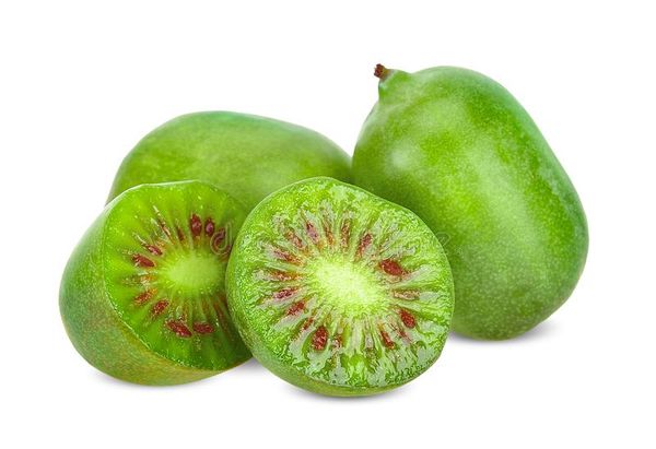 Kiwi Berry from 미국 supplied by Cascade Fruit Growers LLC - Kiwi Berry (=Baby Kiwi) 신선 키위
