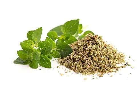 Organic Marjoram from Germany supplied by HAMBURGER GEWUERZMUEHLE HER. SCHULZ GMBH - Dried (=Dehydrated) Marjoram