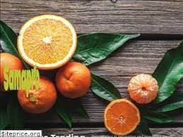 Mandarin from 남아프리카공화국 supplied by SAMAPRO - Low Seeded Murcott 신선 만다린