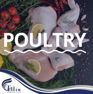 Chicken from 남아프리카공화국 supplied by Etlin International Trading (Pty) Ltd - Vacuum Packed (=VAC) 냉동 미절단 닭고기