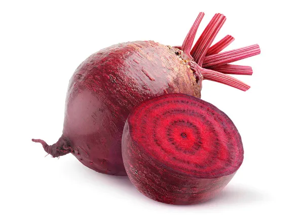 Beetroot from 네덜란드 supplied by B.V. EXPLOITATIE RESERVEGRONDEN FLEVOLAND - Red Beets - Formanova (=Cylindra) 신선 비트