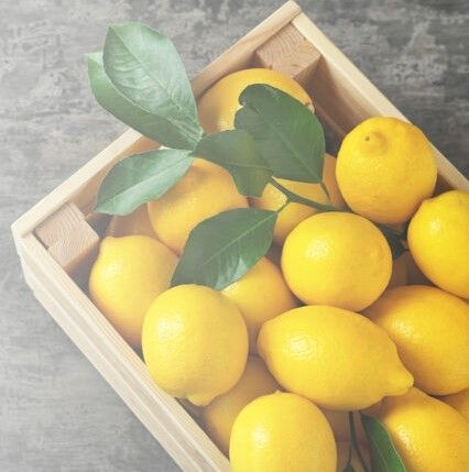 Fresh Lemon from 스페인 supplied by HACIENDA DEL MOLINO, S.L. - Carton Box (=Cardboard Box) 신선 레몬