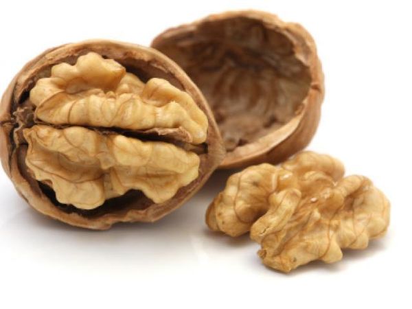 walnut from 폴란드 supplied by Flavor Factory Sp. z o.o. - Kernel 생호두