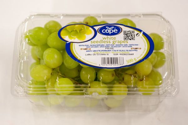 Grape from 벨기에 supplied by Nicolai Fruit - Green 신선 포도
