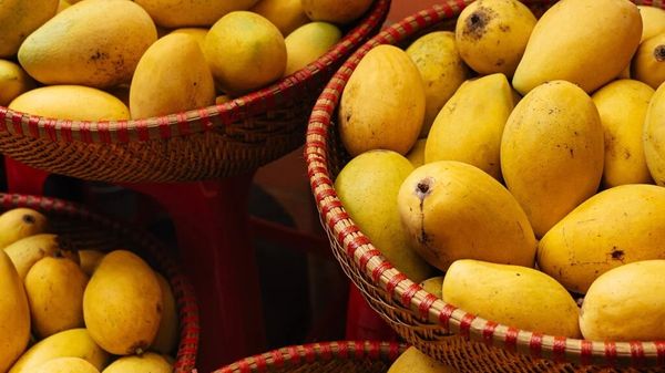 Fresh Mango from Egypt supplied by Agrismart For Agricultural Development - Naomi Fresh Mango