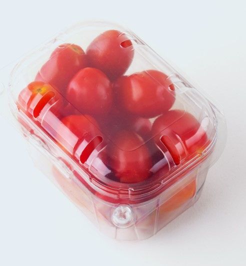 Fresh Tomato from 스페인 supplied by Grupo G´s - Pear Varieties - Orange Pear (Heirloom) 신선 토마토