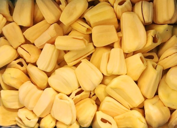 IQF JACKFRUIT from Vietnam supplied by An Giang Fruit-Vegetables & Foodstuff Joint Stock Company (ANTESCO) - Carton Box (=Cardboard Box) Jackfruit
