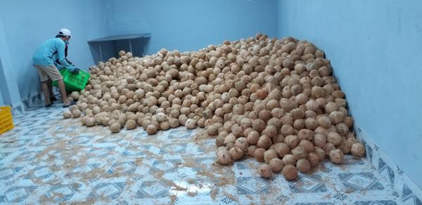 Semi Husk Coconut from 베트남 supplied by Mai Ka Company Limited - Semi Husked 기타 신선 코코넛