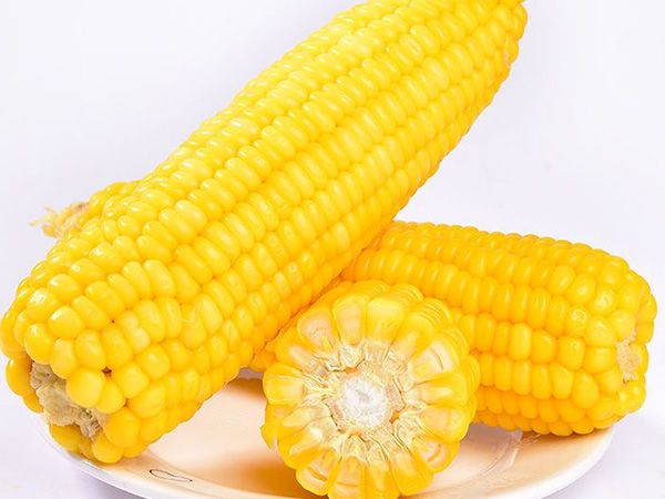 Corn On The Cob from China supplied by Chaohu Meiwei Food Co., Ltd. - Cob Maize (Corn)