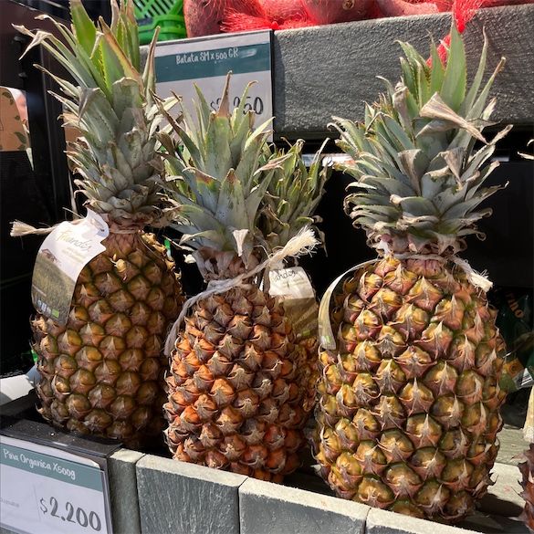 Pineapple from United States supplied by Specialty Produce - Fresh (=Chilled) Fresh Pineapple