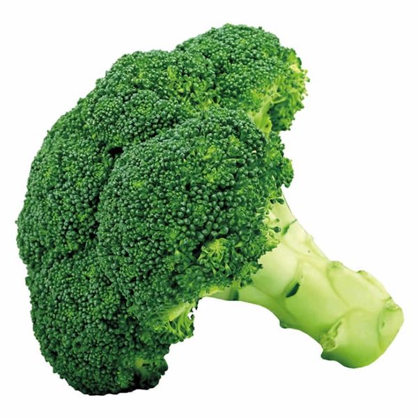 Broccoli from Thailand supplied by KASET HUB - Fresh (=Chilled) Fresh Headed Broccoli
