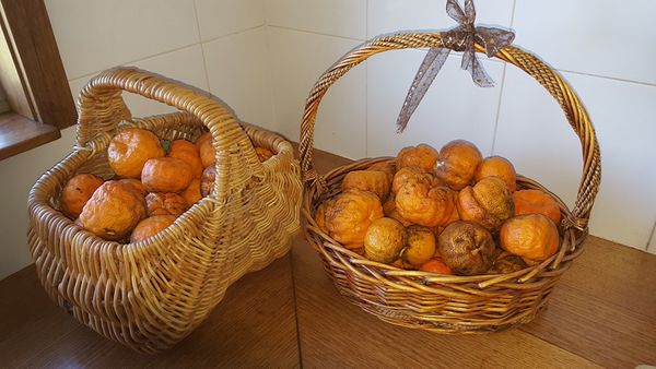 Mandarin from Australia supplied by Buronga Organics - Orange Fresh Mandarin