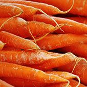 Fresh Carrot from Germany supplied by Tuinier Hofman Gemüsebau KG - Whole Fresh Carrot