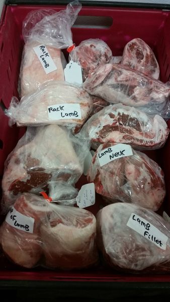 Lamb Meat from 아일랜드 supplied by Tubbertelly Farm - Dexter Beef - Fillet 양고기