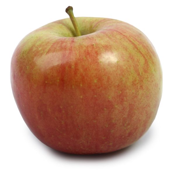 Fuji Apple from 세르비아 supplied by ĆIRIĆ AGRO MĐŽ D.O.O. - Mixed 신선 사과