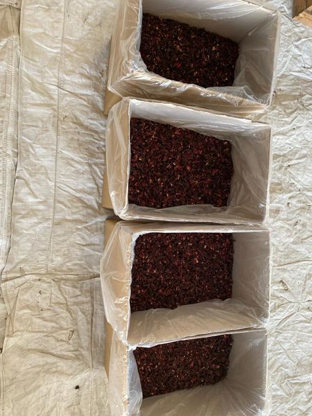 Hibiscus from 이집트 supplied by Green Herbs - 로젤(=Gongura=Hibiscus Sabdariffa) 히비스커스