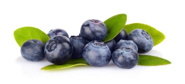 Wild Blueberries from 미국 supplied by Cherryfield Foods Inc - IQF (=Individual Quick Freezing) 냉동 블루베리