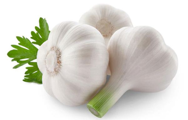 Garlic from 튀르키예 supplied by Cabbar Tarim - White 신선 마늘