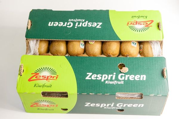 Kiwi from 벨기에 supplied by Nicolai Fruit - Yellow 신선 키위