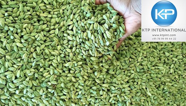 Cardamom from 인도 supplied by KTP International India - 그린 카다멈 카다멈