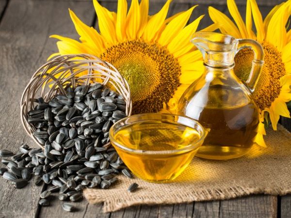 Sunflower Oil from 포르투갈 supplied by Fernandes & Henriques, Lda - Pure 정제 해바라기유