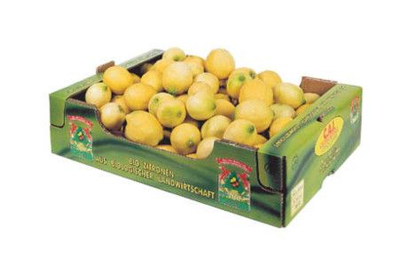 Fresh Whole Lemon from 이탈리아 supplied by CAI ARL - Bulk (Bulk in Container or Bulk in Vessel) 신선 레몬