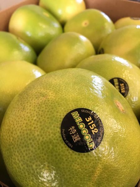 Melogold Grapefruit from 미국 supplied by Sequoia Orange Company - Whole 기타 말린 감귤류 혼종
