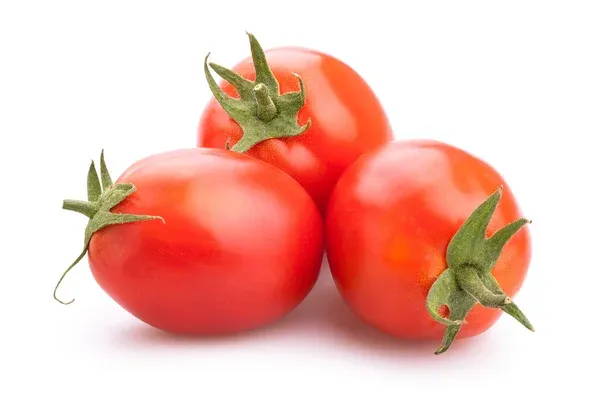 Plum Tomato from 이탈리아 supplied by C.O.P.A - Plum-shaped 신선 토마토