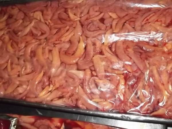 Pacific herring from Russia supplied by LLC Sofko - Pacific Herring (=Clupea pallasii pallasii) Herring
