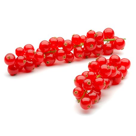 Gooseberry from Portugal supplied by BDP – Bagas de Portugal, C.R.L - Small Fresh Gooseberry