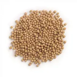 Mustard Seed from 러시아 supplied by LLC Slavyanskie Polya - Brown 겨자씨