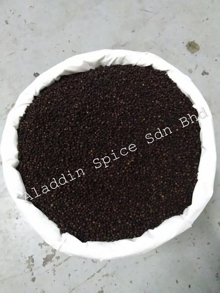 Best Quality Sarawak Black Peppercorn Berries from 말레이시아 supplied by Aladdin Spice Sdn Bhd - Conventional 흑후추 열매