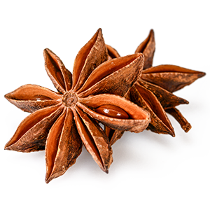 Star Anise from India supplied by Spice Essence International LLP - Superior Star Anise