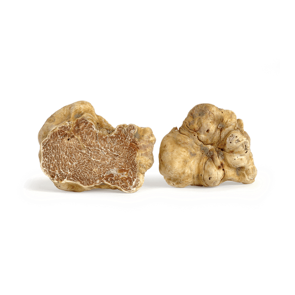 Fresh Truffle from 크로아티아 supplied by Natura Truffles - White 트러플