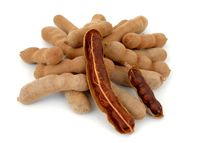 Tamarind from India supplied by Vinod Kumar Jain Agro Exim Pvt Ltd - Fresh (=Chilled) Fresh Tamarind