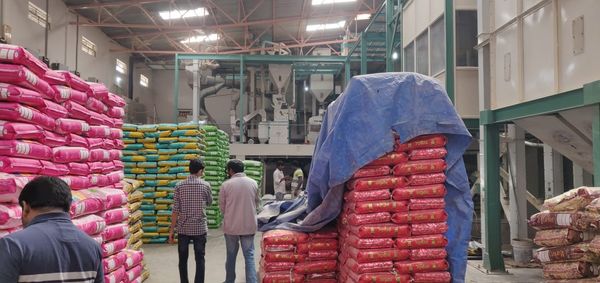 Rice from India supplied by 63IDEAS INFOLABS PRIVATE LIMITED - Sorted Rice